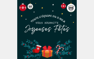 Joyeuses fêtes